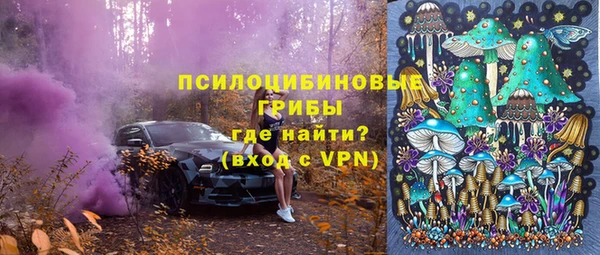 ешки Алексин