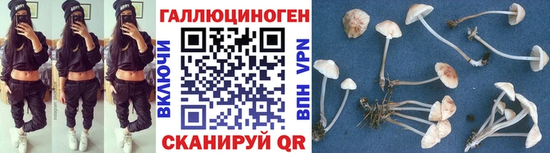 купить   Полысаево  Псилоцибиновые грибы ЛСД 